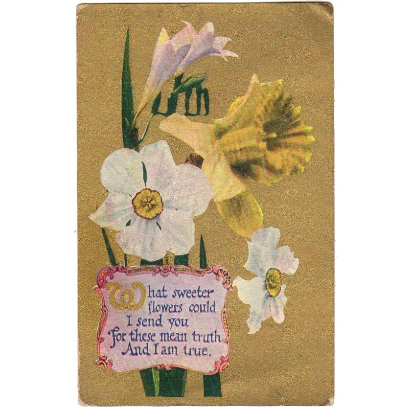 https://www.avidvintage.com/cdn/shop/products/Daffodils_White_and_Yellow_Vintage_1910s_Greeting_Postcard_1.jpg?v=1570625112