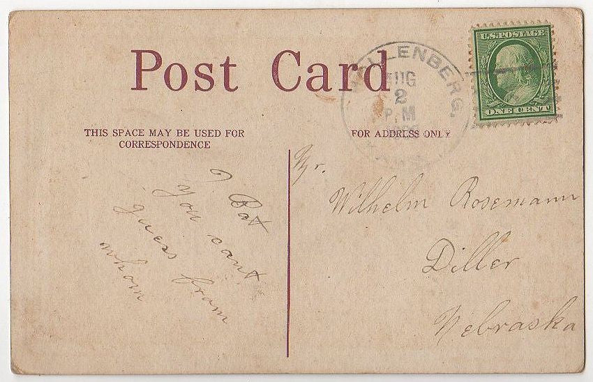 Daffodils White and Yellow Vintage 1910s Greeting Postcard Gold Background - Avid Vintage