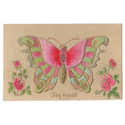 Antique Embossed Best Wishes Postcard Pink and Green Butterfly Pink Roses - Avid Vintage