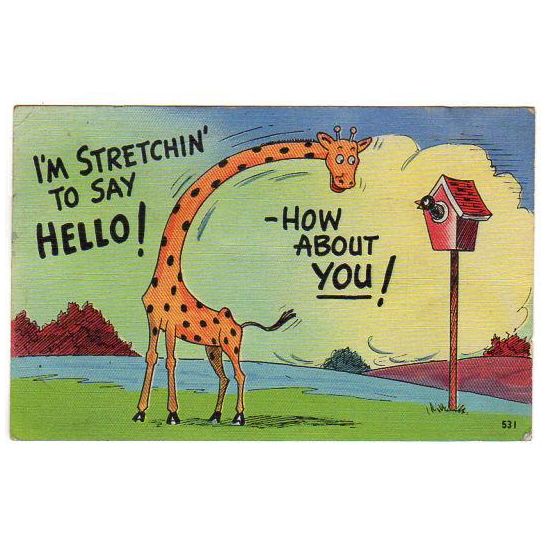 Vintage Giraffe Comic Postcard Stretchin to Say Hello Bird House