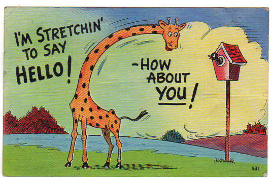 Vintage Giraffe Comic Postcard Stretchin to Say Hello Bird House - Avid Vintage
