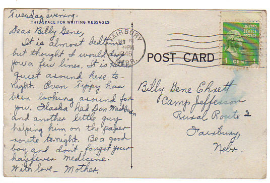 Vintage Giraffe Comic Postcard Stretchin to Say Hello Bird House - Avid Vintage