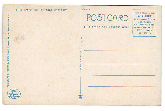 Vintage Postcard Glass Bottom Boat and Submarine Gardens Catalina Island California - Avid Vintage