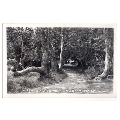 Vintage 1930s Glenn Ranch Resort California RPPC McLaughlin Real Photo Postcard - Avid Vintage