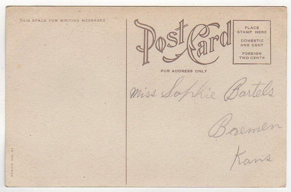 Good Luck Old Antique Postcard Beautiful Woman Pansies Flowers - Avid Vintage