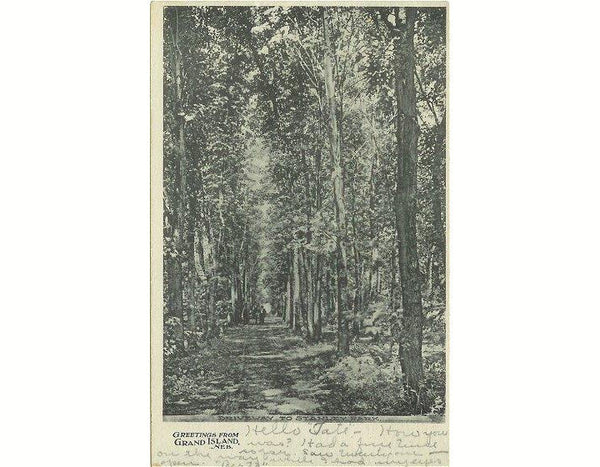 1900s Postcard Stanley Park Grand Island Nebraska Vintage View - Avid Vintage