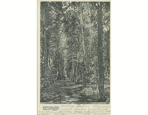 1900s Postcard Stanley Park Grand Island Nebraska Vintage View - Avid Vintage