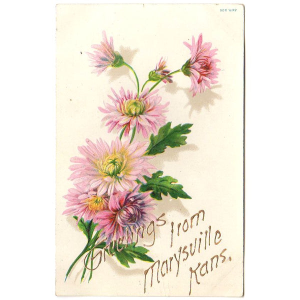 Greetings From Marysville Kansas Embossed Antique Postcard Pink Flowers - Avid Vintage