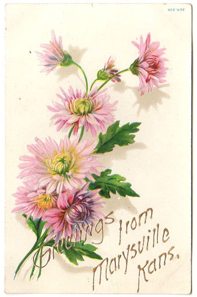 Greetings From Marysville Kansas Embossed Antique Postcard Pink Flowers - Avid Vintage