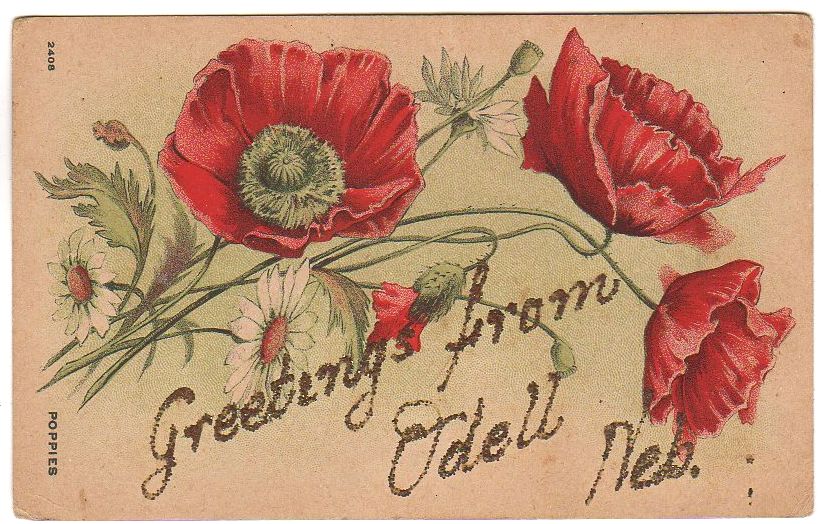 Greetings From Odell Nebraska Antique Postcard Red Poppies Paper Ephemera - Avid Vintage