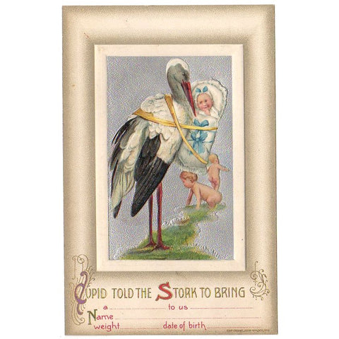 John Winsch Vintage Birth Announcement Postcard Stork Brings Baby - Avid Vintage