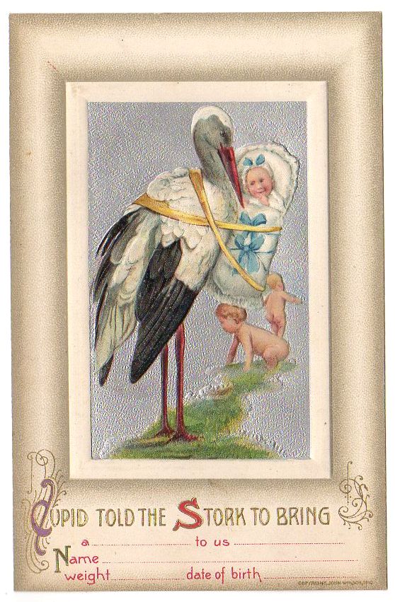 John Winsch Vintage Birth Announcement Postcard Stork Brings Baby - Avid Vintage