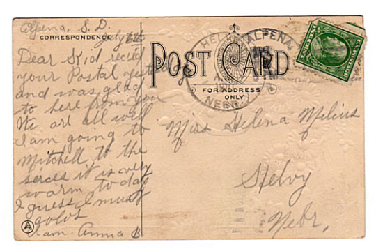 Vintage 1910s Lane South Dakota Floral Greeting Postcard White Dove Best Wishes - Avid Vintage