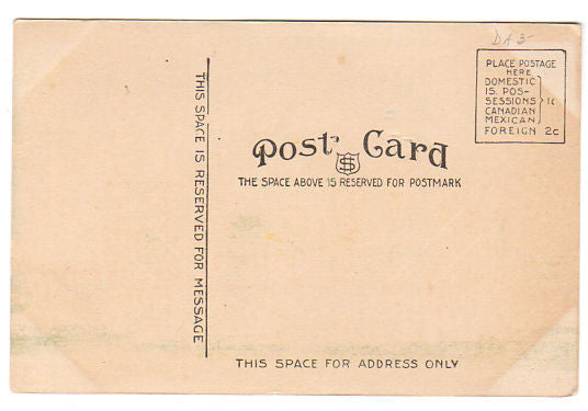 Vintage 1910s Beatrice Nebraska Library Postcard, Marth Brothers and Company - Avid Vintage