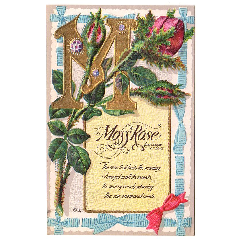 https://www.avidvintage.com/cdn/shop/products/Moss_Rose_Confession_of_Love_Vintage_Nash_Motto_Series_Embossed_Postcard_1.jpg?v=1572606138
