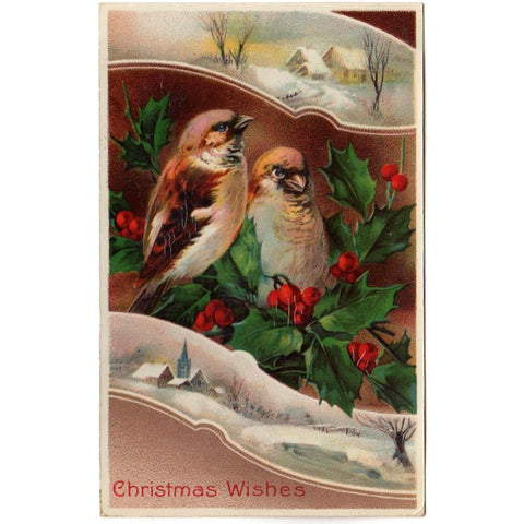 Old Vintage Christmas Postcard Adorable Birds Snowy Church Scene Samson Brothers - Avid Vintage