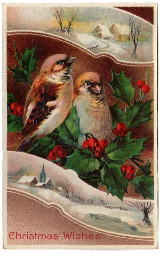 Old Vintage Christmas Postcard Adorable Birds Snowy Church Scene Samso –  Avid Vintage