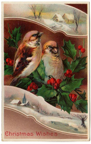 Old Vintage Christmas Postcard Adorable Birds Snowy Church Scene Samson Brothers - Avid Vintage