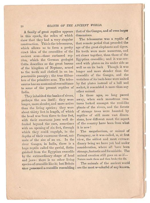 Original 1897 Antique Print Ancient Dinosaurs Black and White Illustration