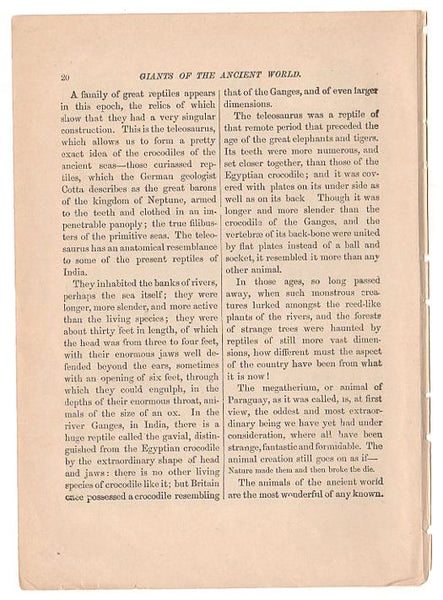 Original 1897 Antique Print Ancient Dinosaurs Black and White Illustration