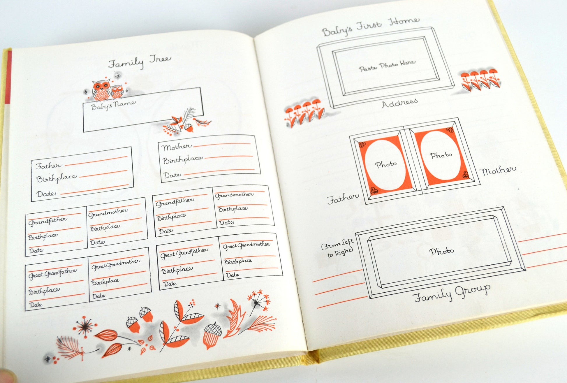 Our Baby Book Vintage 1950s Milestones and Firsts Designed by Marion Raider - Avid Vintage