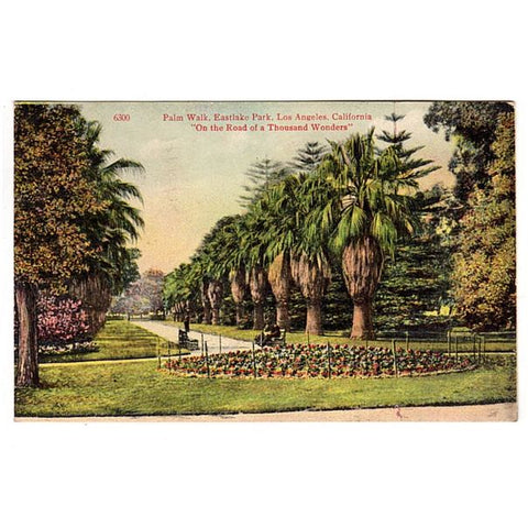 Vintage 1910s Postcard Palm Walk Eastlake Park (Now Lincoln Park) Los Angeles California - Avid Vintage