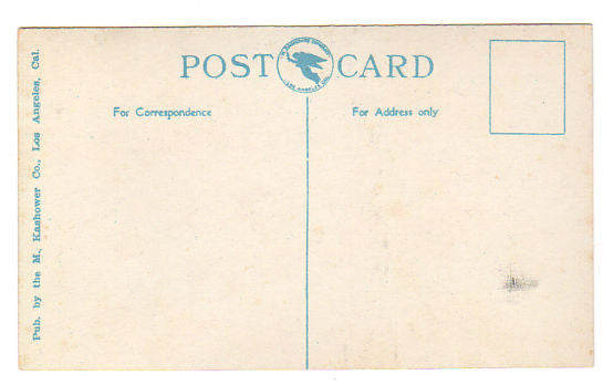 Vintage California Postcard 1910s Palm Walk South Park Los Angeles - Avid Vintage