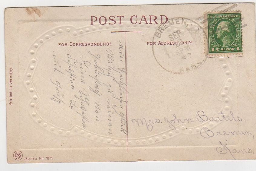 Red Carnations Antique Embossed Joyous Birthday Postcard - Avid Vintage