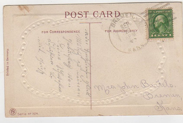 Red Carnations Antique Embossed Joyous Birthday Postcard - Avid Vintage