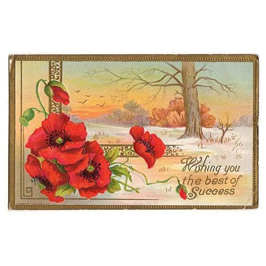 Vintage 1910s Red Poppy Postcard Best Success Embossed Winter Scene - Avid Vintage