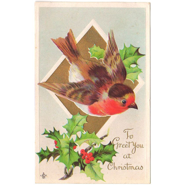 Robin on Gold Triangle Holly Antique Christmas Greetings Bird Postcard - Avid Vintage