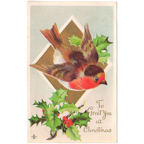 Robin on Gold Triangle Holly Antique Christmas Greetings Bird Postcard - Avid Vintage