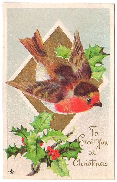 Robin on Gold Triangle Holly Antique Christmas Greetings Bird Postcard - Avid Vintage