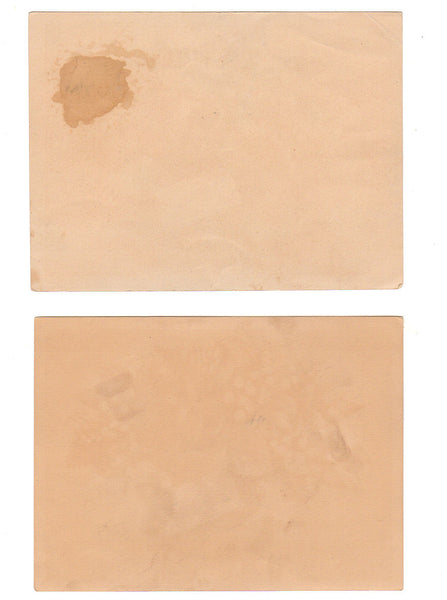 Antique 1880s Victorian Reward of Merit Cards Red Rose and Lily of the Valley Bouquets - Avid Vintage