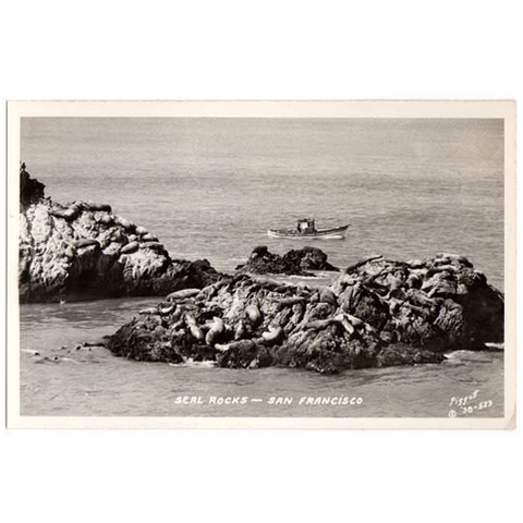 Vintage 1930s Real Photo Postcard Seal Rocks San Francisco California Piggott - Avid Vintage
