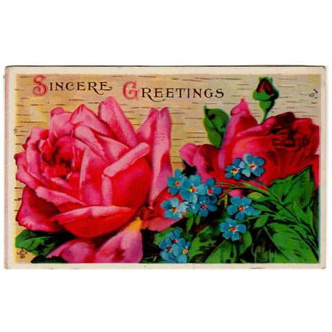 Sincere Greetings Antique Postcard Large Red Roses