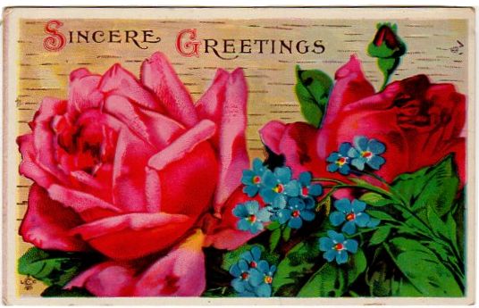 Sincere Greetings Antique Postcard Large Red Roses