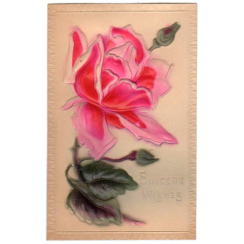 Sincere Wishes Vintage Highly Embossed Pink Rose Postcard Unused - Avid Vintage