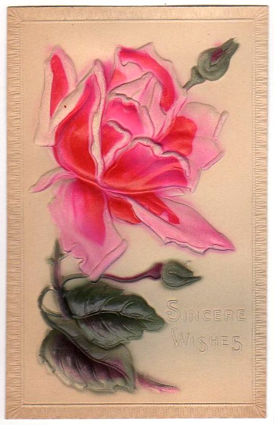 Sincere Wishes Vintage Highly Embossed Pink Rose Postcard Unused - Avid Vintage
