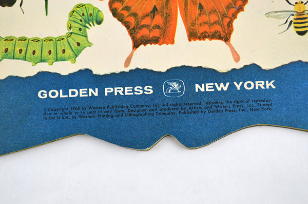 The Bug Book 1965 Vintage A Golden Shape Book by William Dugan Softcover - Avid Vintage