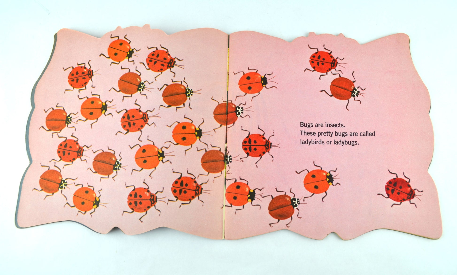 The Bug Book 1965 Vintage A Golden Shape Book by William Dugan Softcover - Avid Vintage