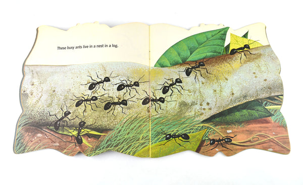 The Bug Book 1965 Vintage A Golden Shape Book by William Dugan Softcover - Avid Vintage