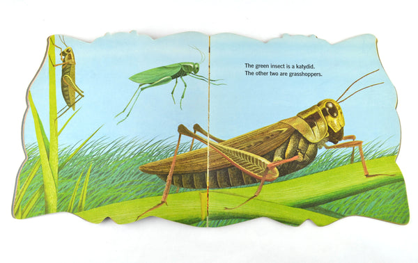 The Bug Book 1965 Vintage A Golden Shape Book by William Dugan Softcover - Avid Vintage