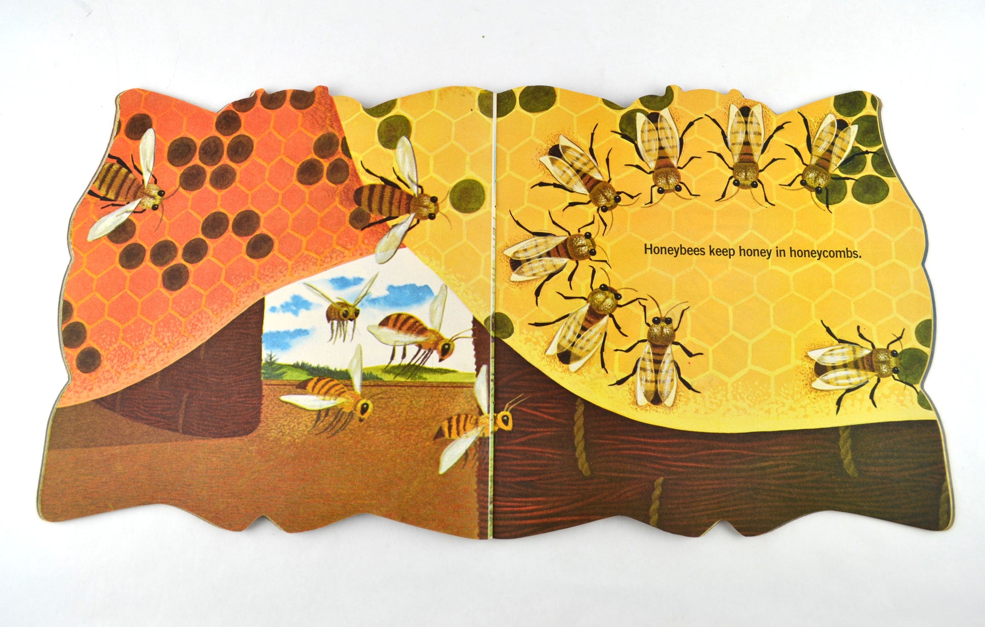 The Bug Book 1965 Vintage A Golden Shape Book by William Dugan Softcover - Avid Vintage