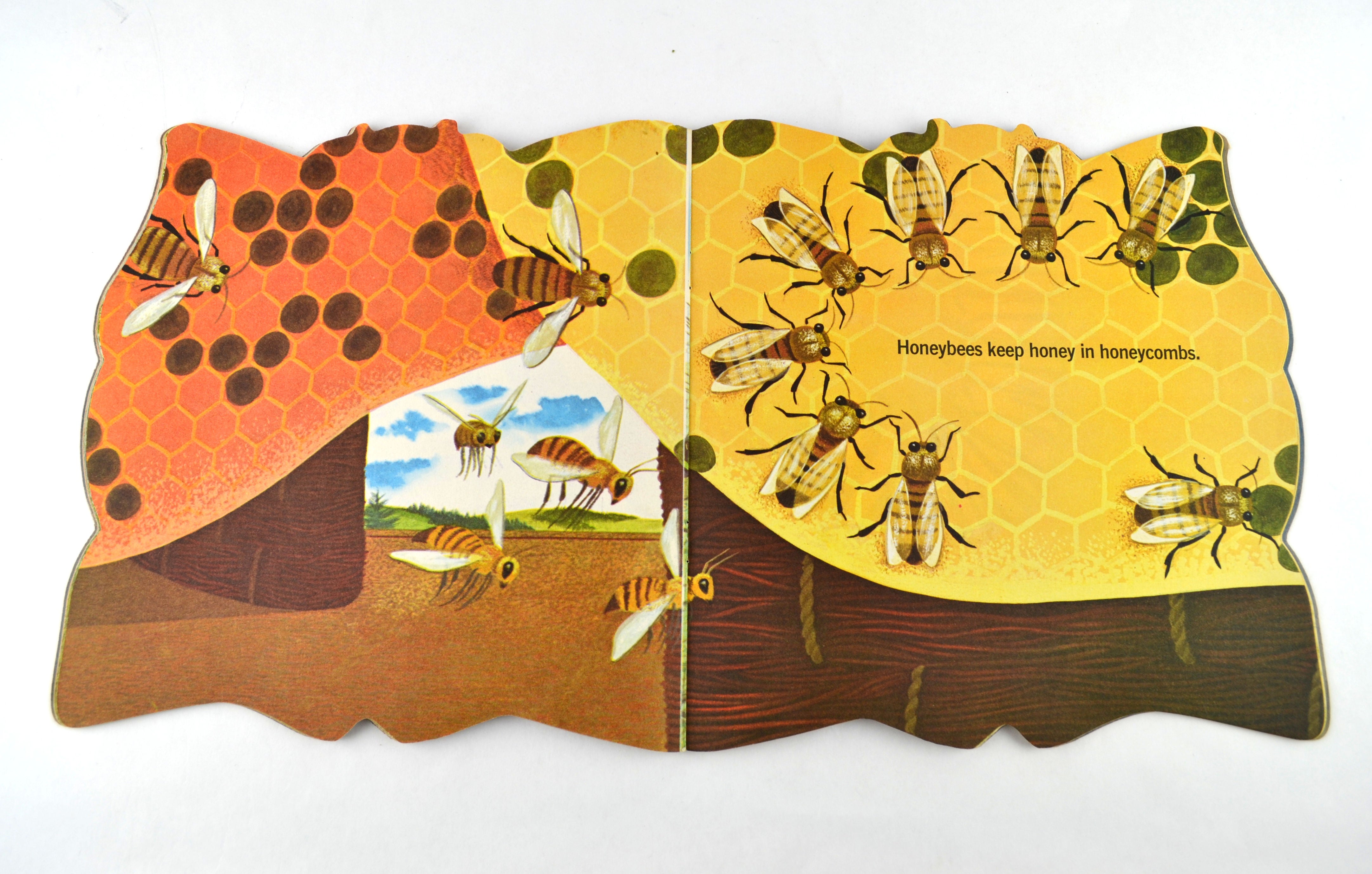The Bug Book 1965 Vintage A Golden Shape Book by William Dugan Softcover - Avid Vintage