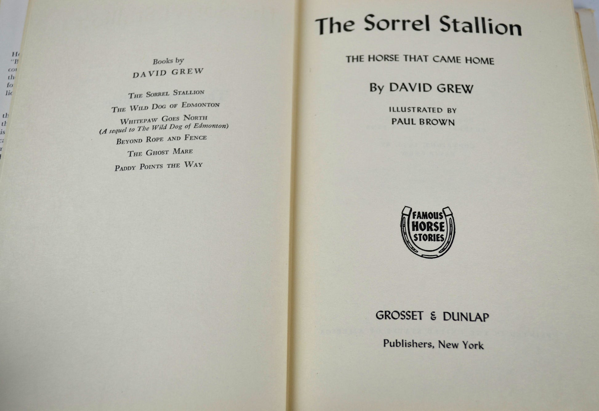 The Sorrel Stallion The Horse That Came Home 1951 David Grew Hardcover Book with Dust Jacket - Avid Vintage