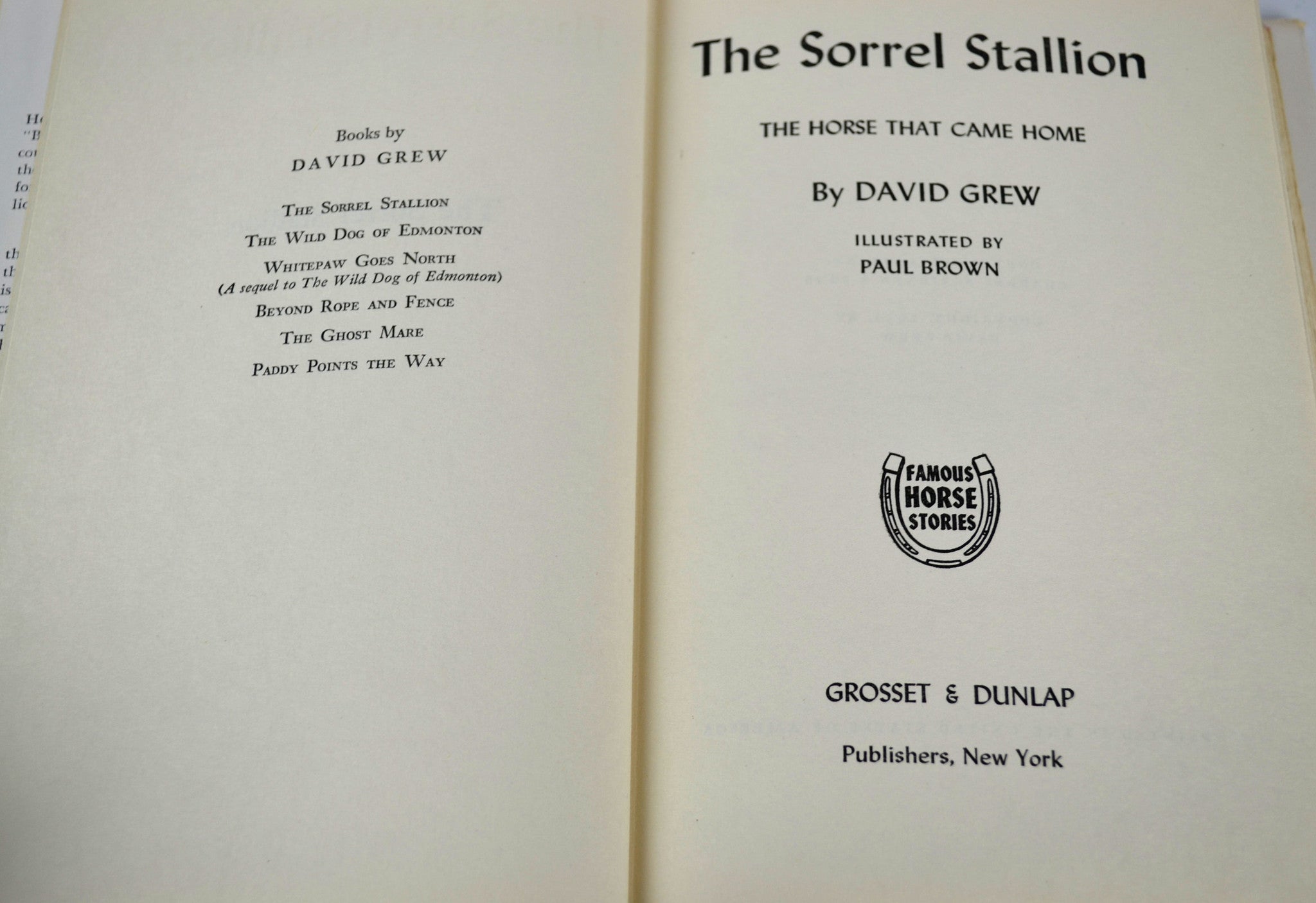 The Sorrel Stallion The Horse That Came Home 1951 David Grew Hardcover Book with Dust Jacket - Avid Vintage
