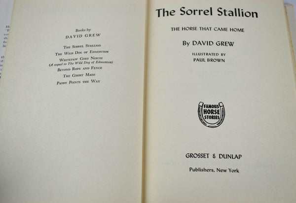 The Sorrel Stallion The Horse That Came Home 1951 David Grew Hardcover Book with Dust Jacket - Avid Vintage