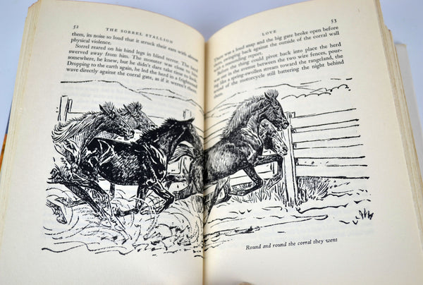 The Sorrel Stallion The Horse That Came Home 1951 David Grew Hardcover Book with Dust Jacket - Avid Vintage