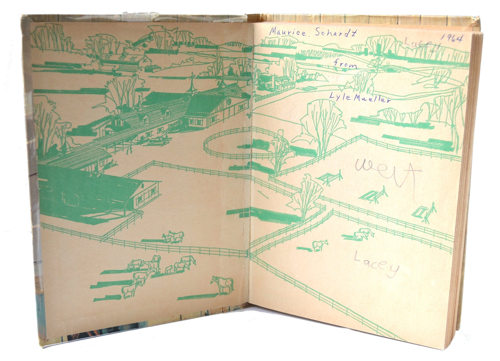 Timber Trail Riders The Texas Tenderfoot Vintage 1963 Whitman Hardcover Book - Avid Vintage